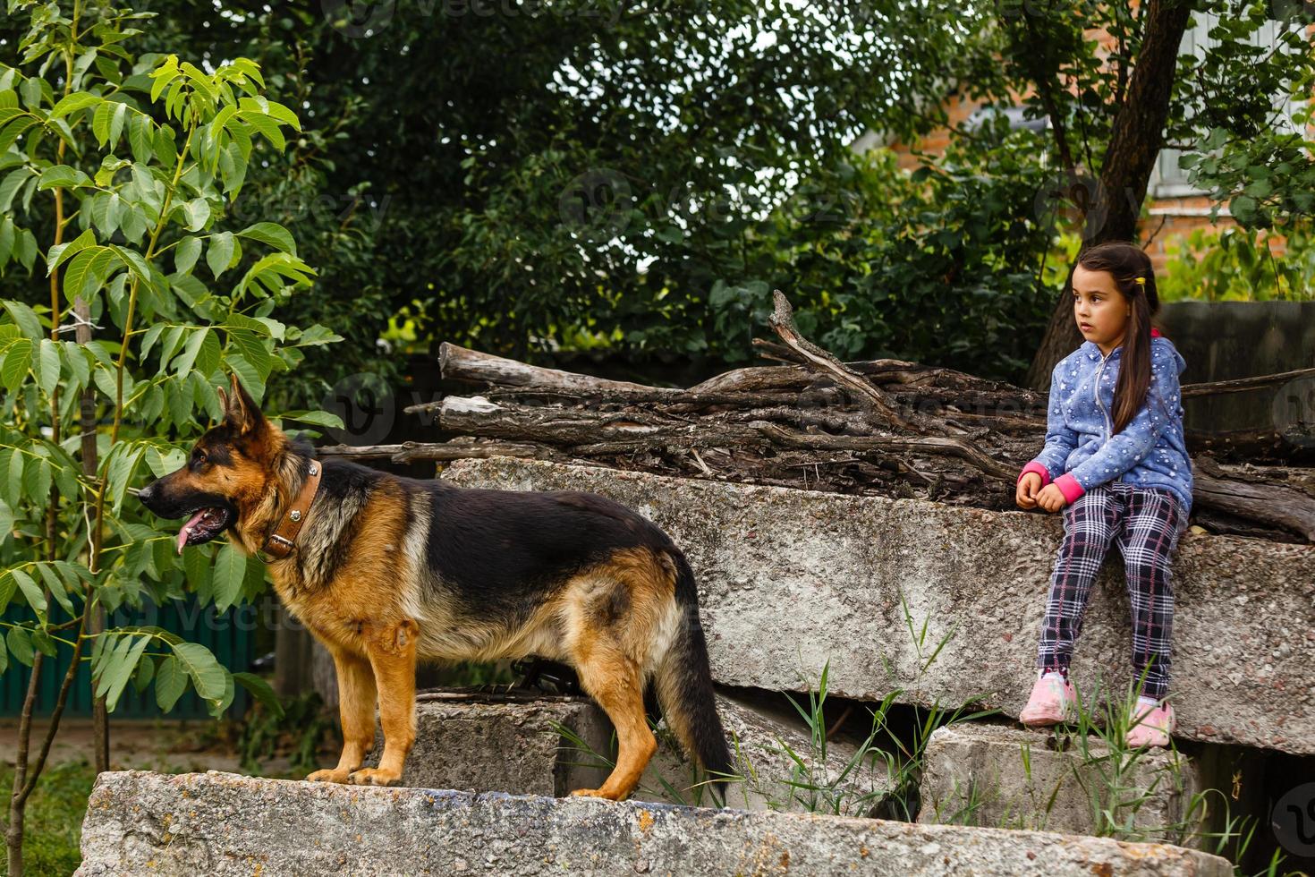 mooi weinig meisje, geeft een commando naar zitten naar Duitse herder hond. foto