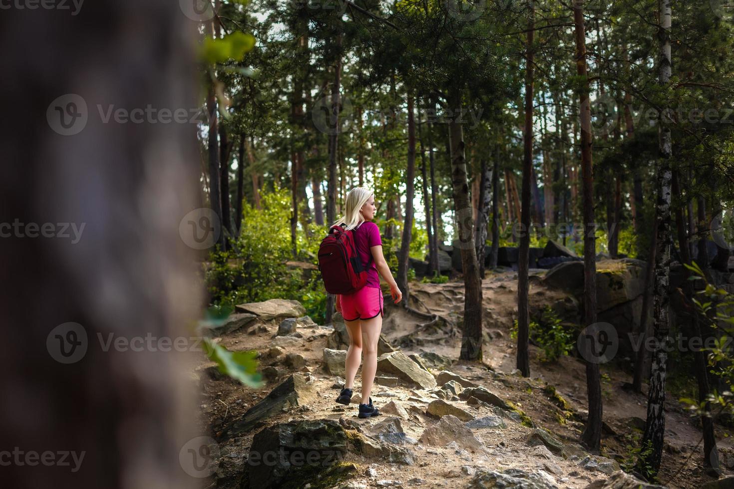 elegant hipster vrouw met rugzak op zoek Bij verbazingwekkend bossen en bergen in zomer, reizen concept, ruimte voor tekst foto