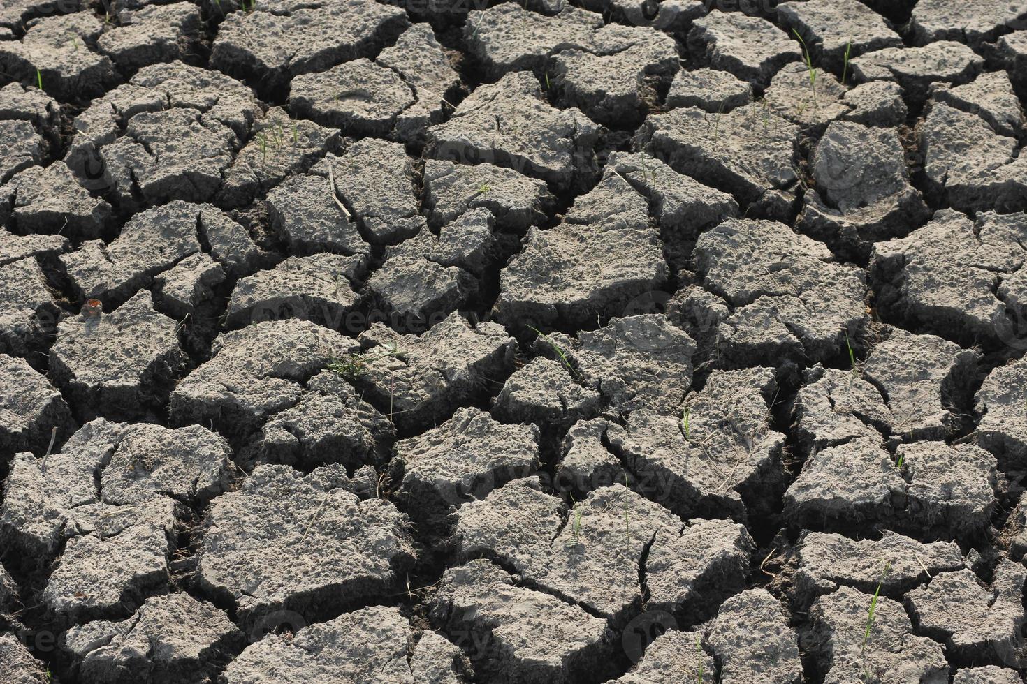 bodem droogte voorwaarden in Aziatisch landen foto