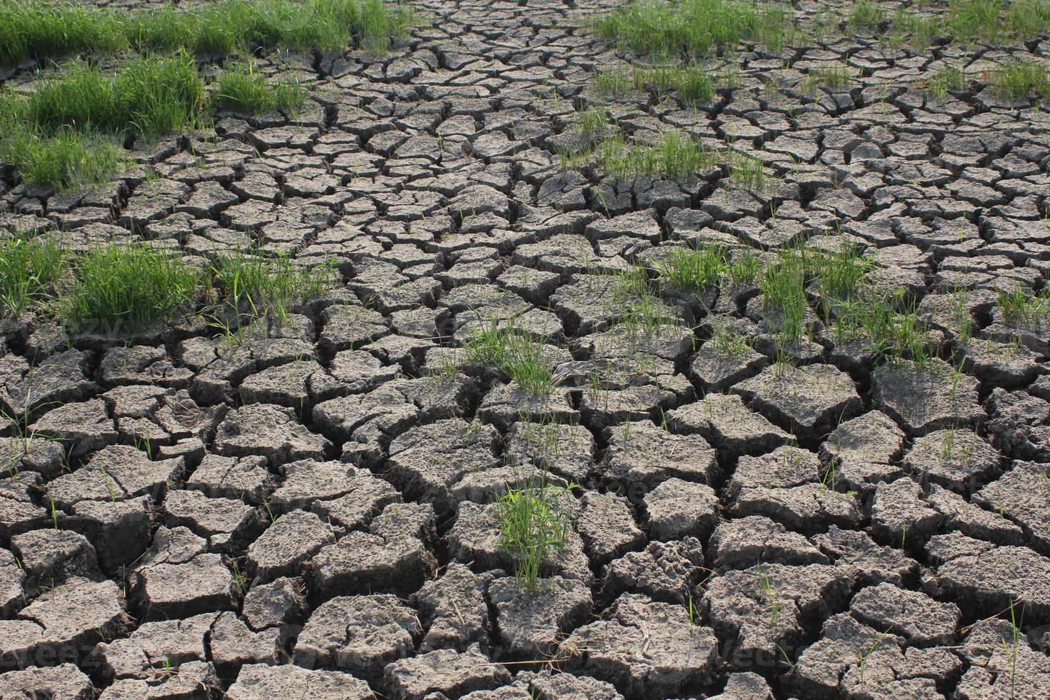 bodem droogte voorwaarden in Aziatisch landen foto