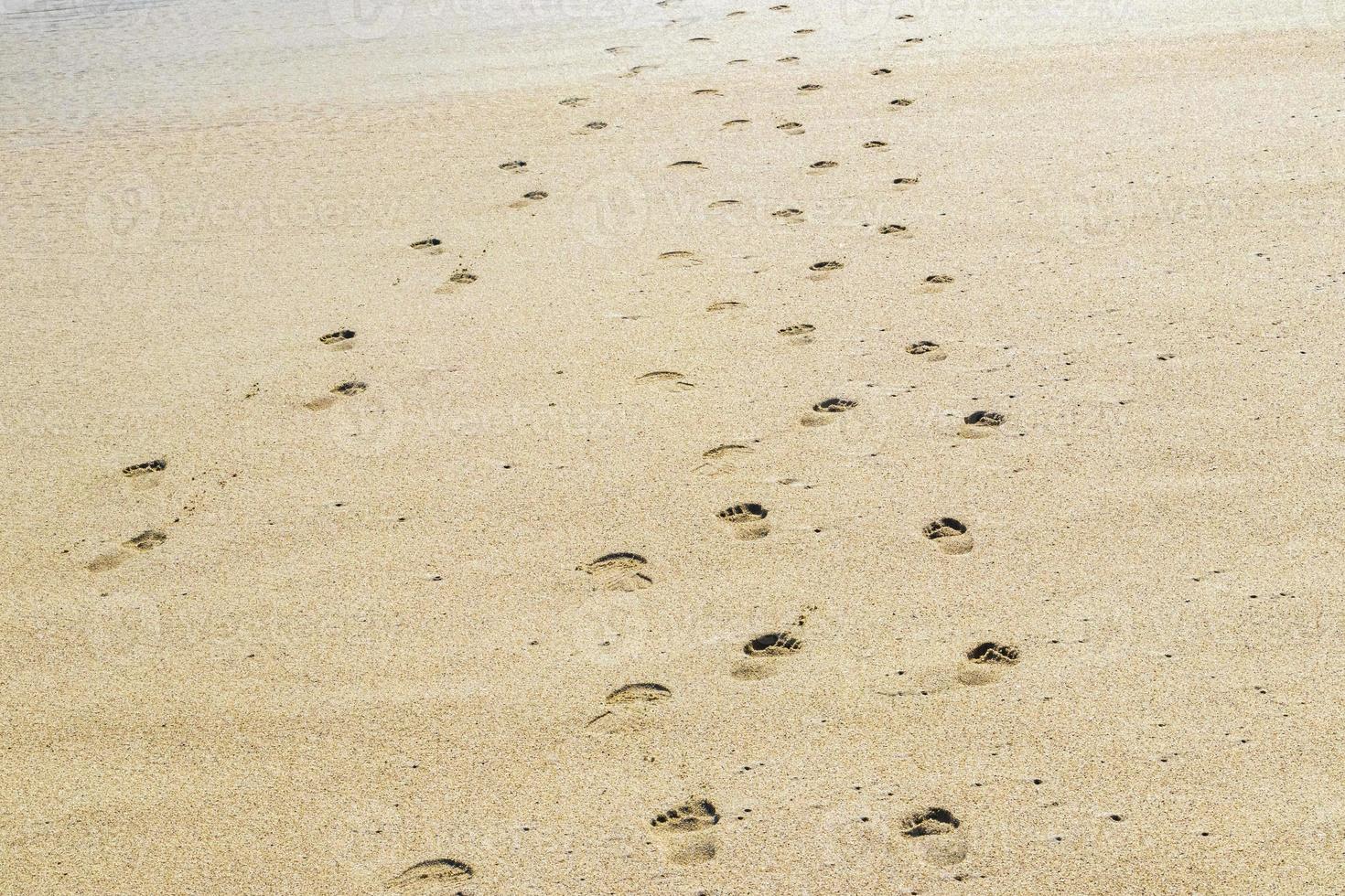 voetafdruk voetafdrukken Aan de strand zand door de water Mexico. foto