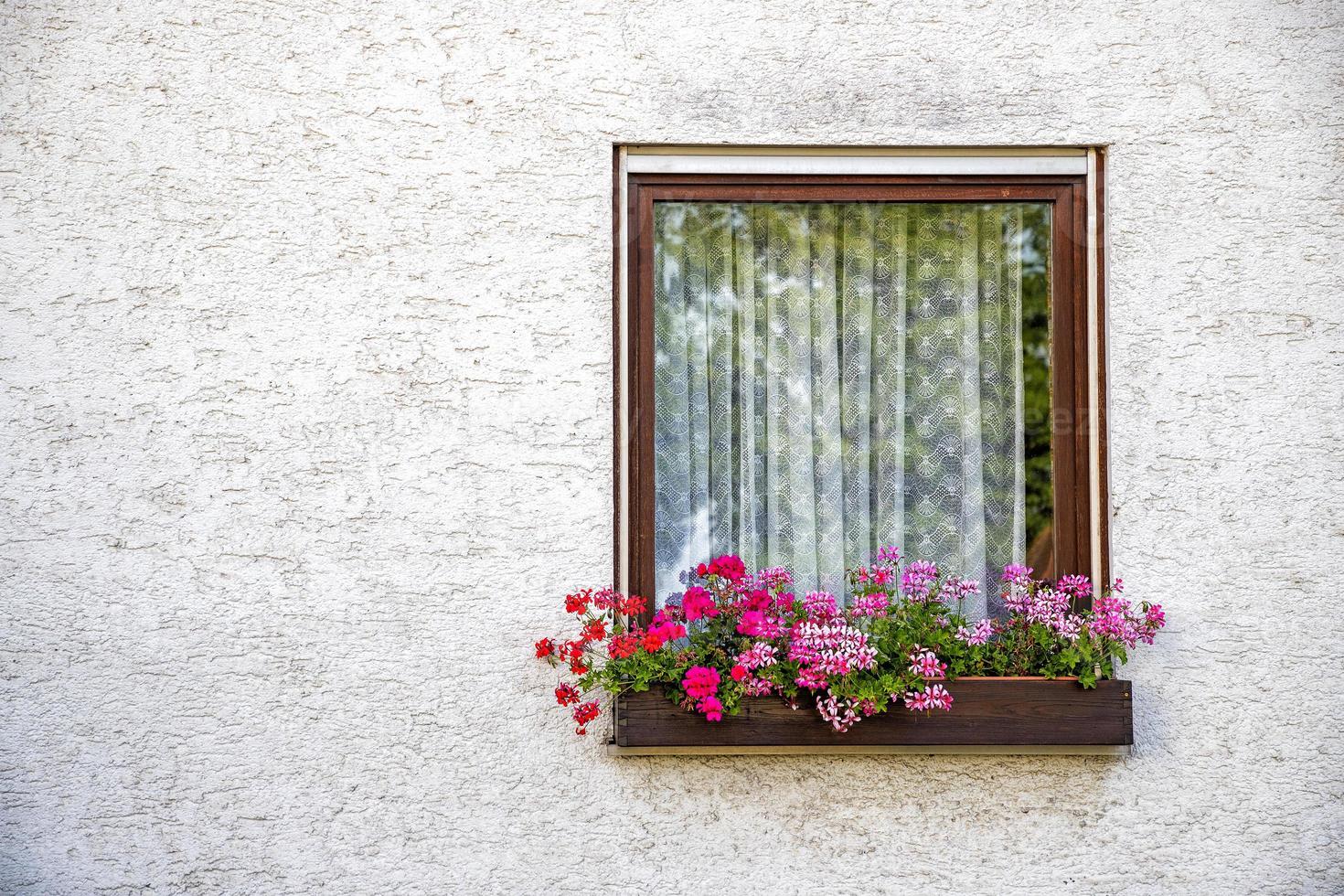 mooi oud venster kader met bloem doos en licht grijs muur. geranium of Ooievaarsbek in een venster doos. landelijk venster kader met kopiëren ruimte. foto