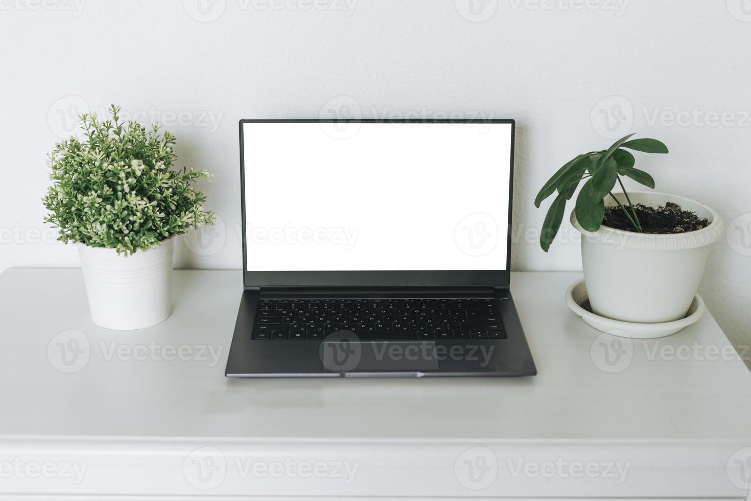 Open laptop met wit scherm Aan tafel met groen huis planten, mockup foto