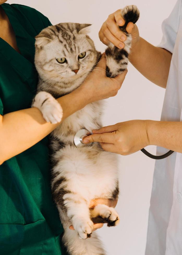 controle de adem. mannetje dierenarts in werk uniform luisteren naar de adem van een klein hond met een phonendoscope in veterinair kliniek. huisdier zorg concept foto