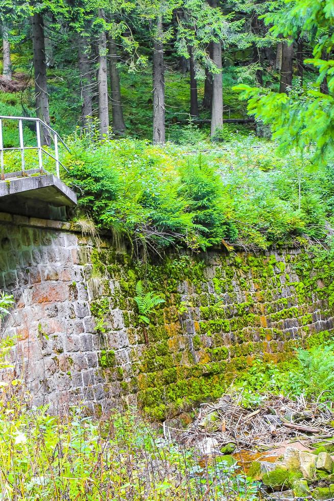 trein sporen door de Woud naar brocken berg harz duitsland. foto