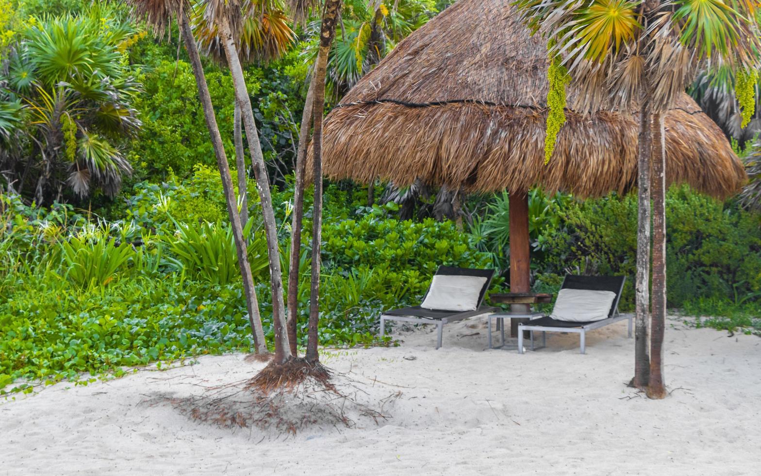 palmen parasols ligstoelen strandresort playa del carmen mexico. foto