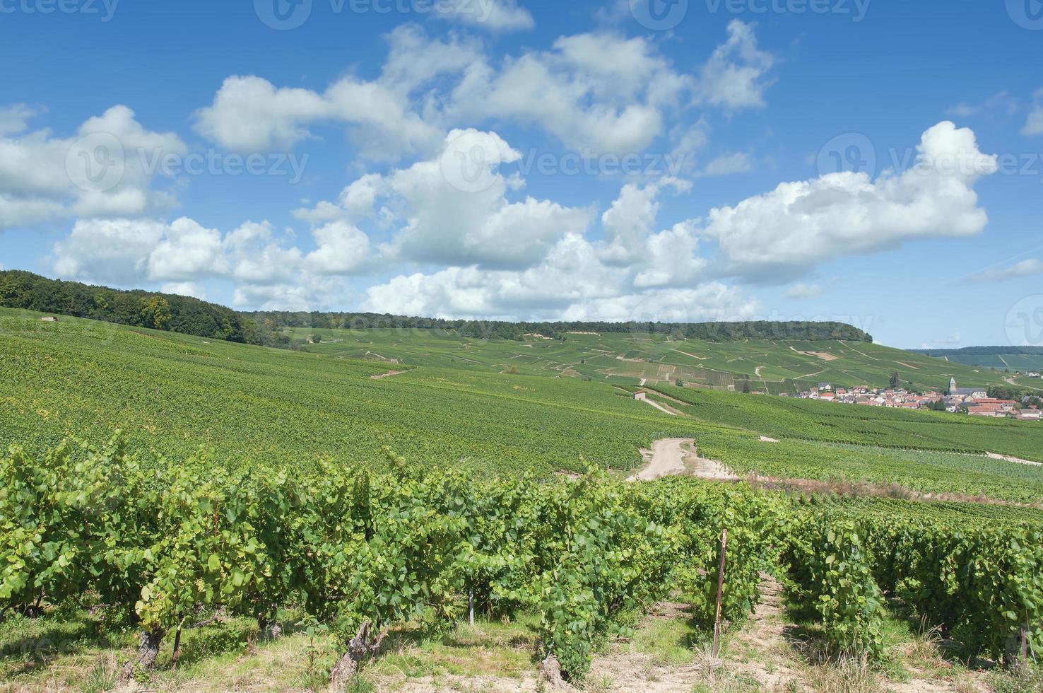 wijn dorp van oger in de buurt epernay, champagne regio, frankrijk foto