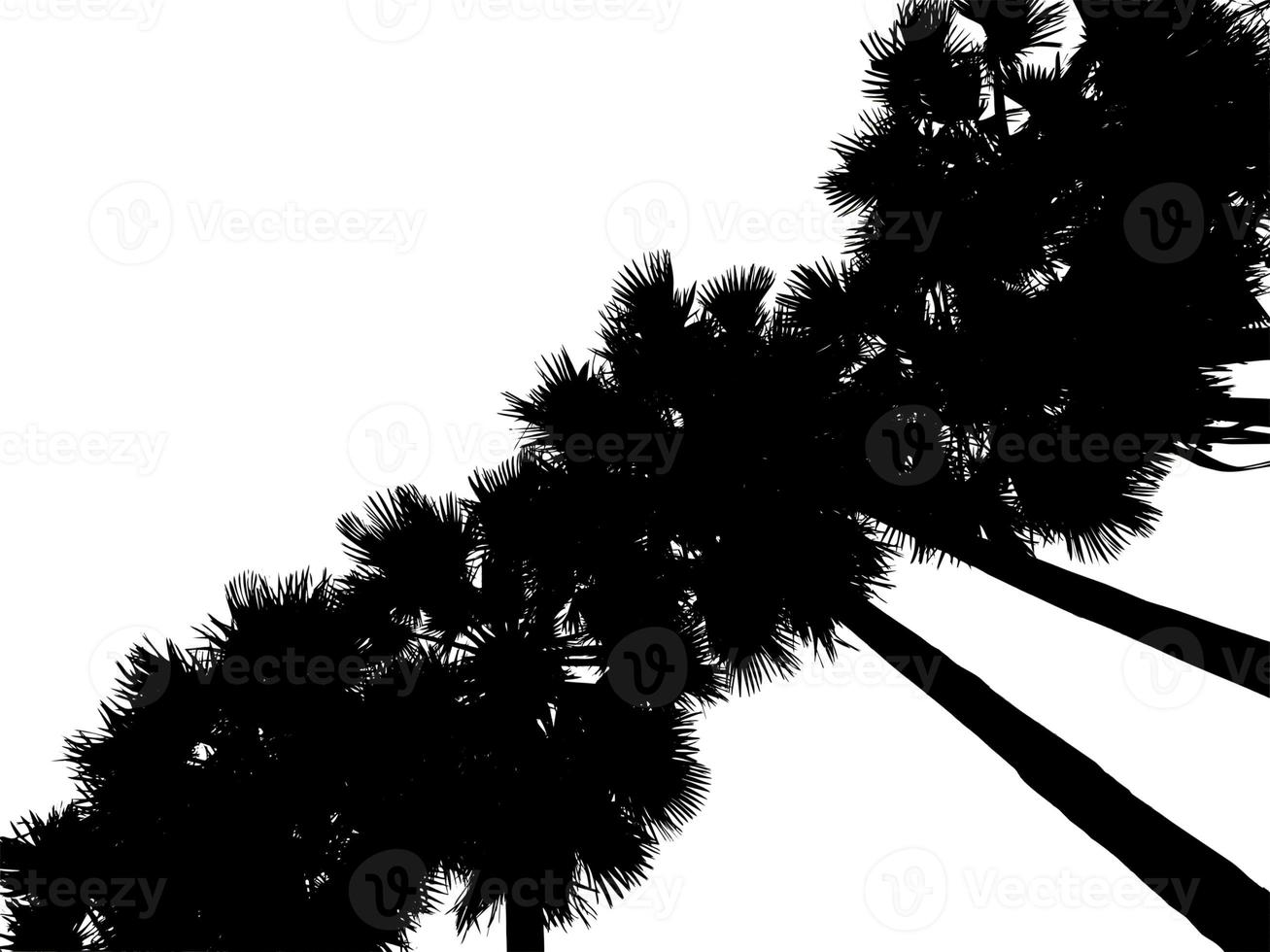 silhouet van palm bomen hoog resolutie boom landschap geïsoleerd Aan wit achtergrond voor afdrukken en web bladzijde met besnoeiing paden en alpha kanalen. foto