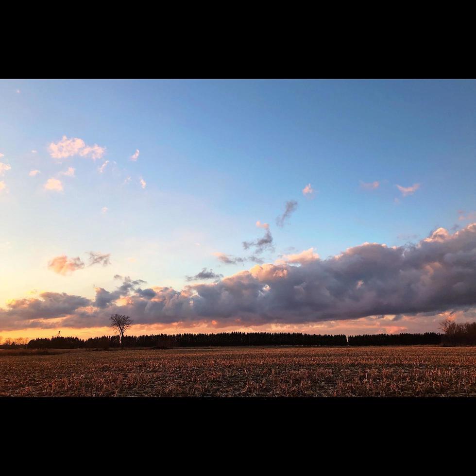 zonsondergang over- boerderij veld- foto