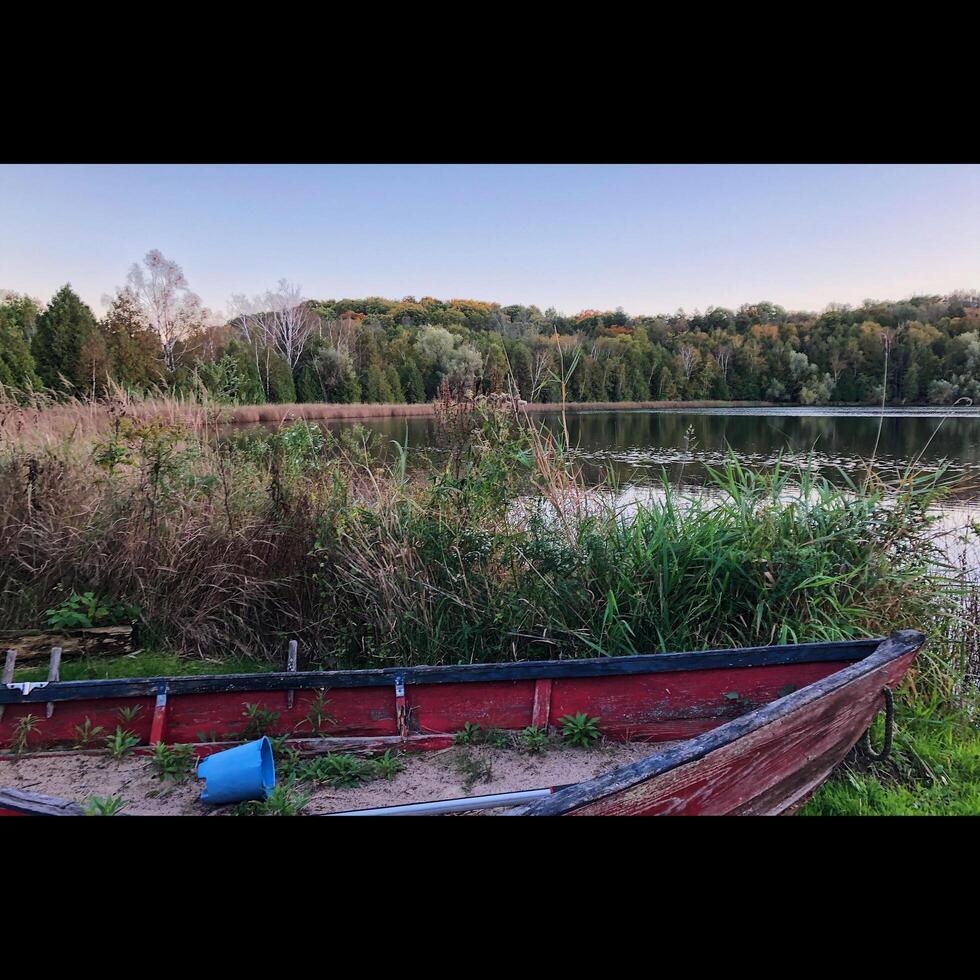 boot naast vijver foto