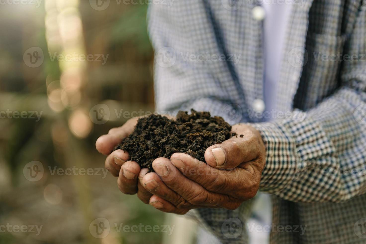 handen van de tuinders zijn grijpen de bodem naar fabriek foto