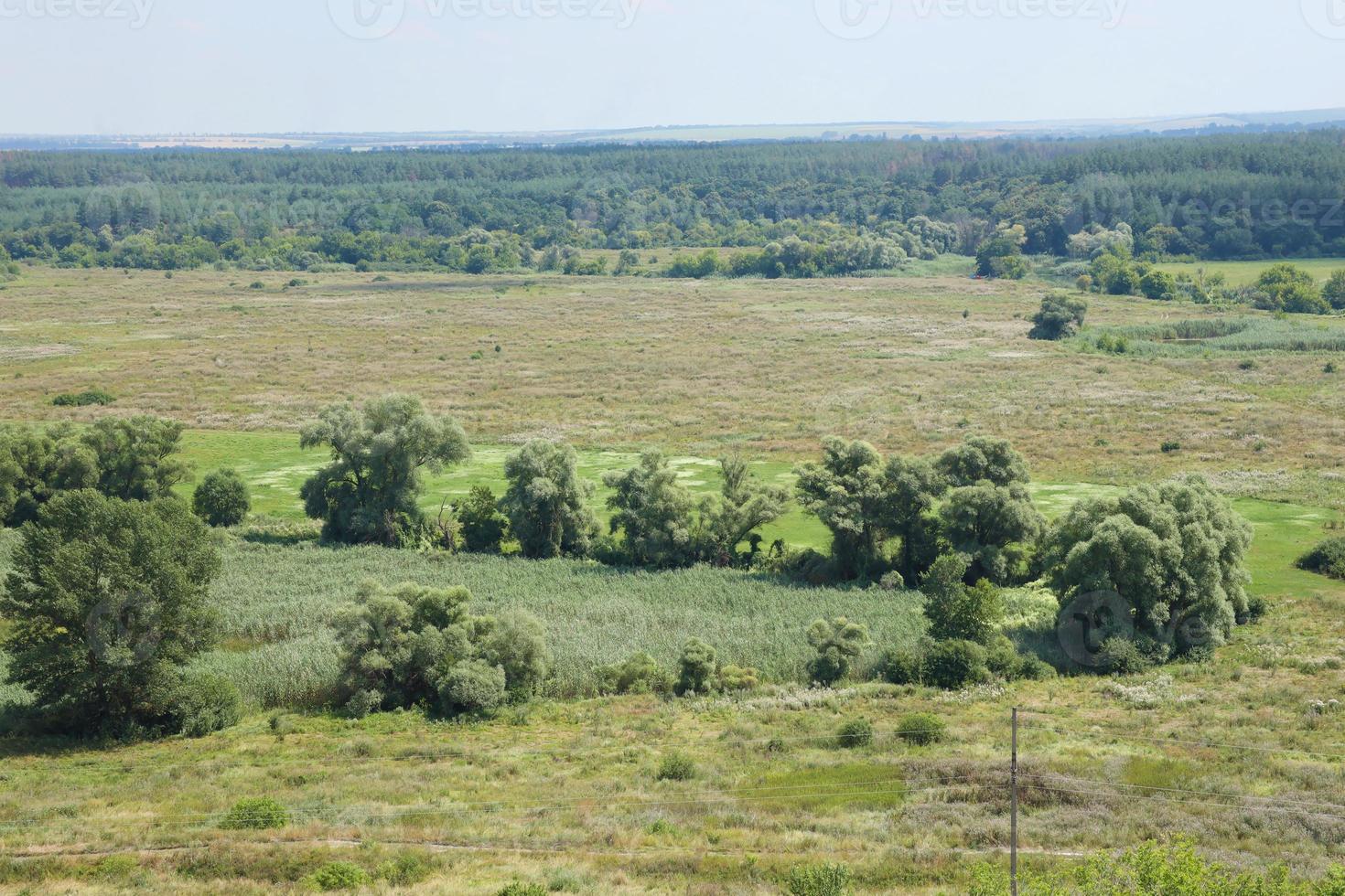 zonnig voorjaar ochtend- Aan weide met bomen foto