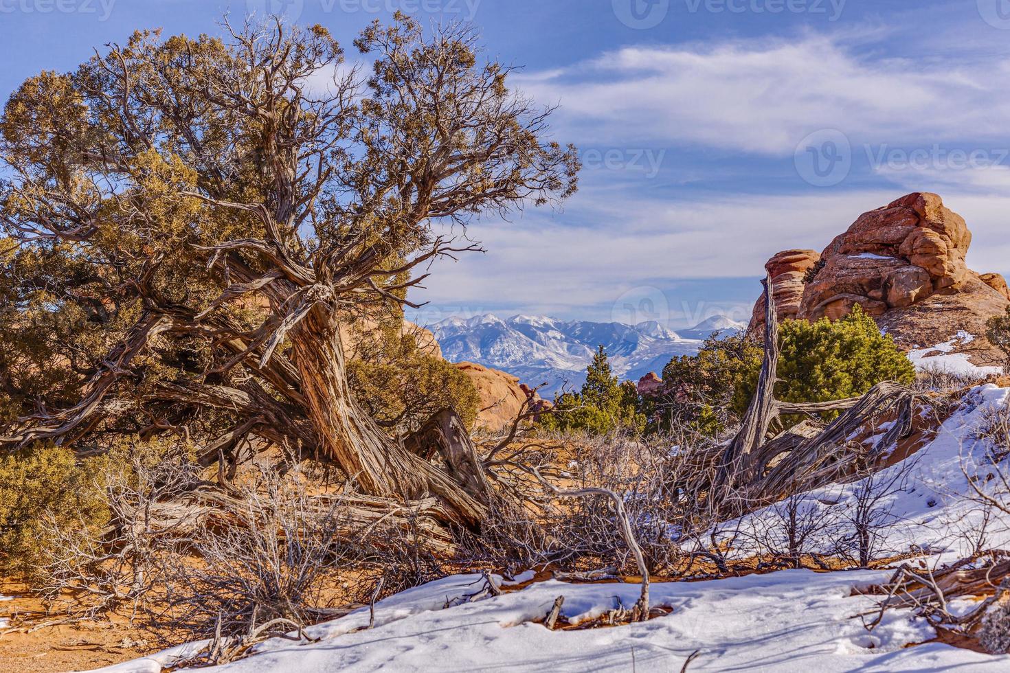 panoramisch afbeelding van natuurlijk en geologisch vraagt zich af van bogen nationaal park in Utah in winter foto