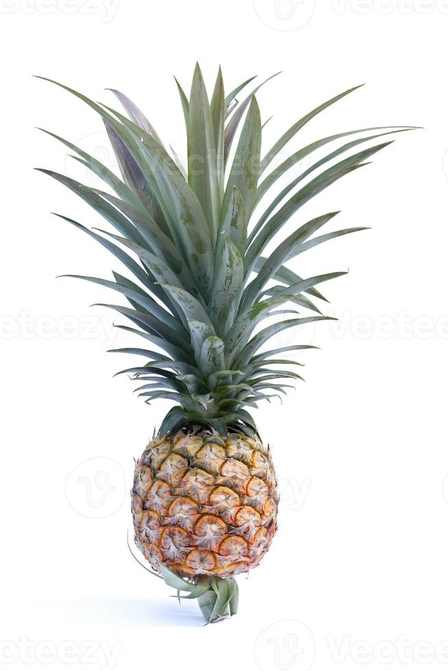 rijp ananas fruit met schiet geïsoleerd Aan wit achtergrond. foto