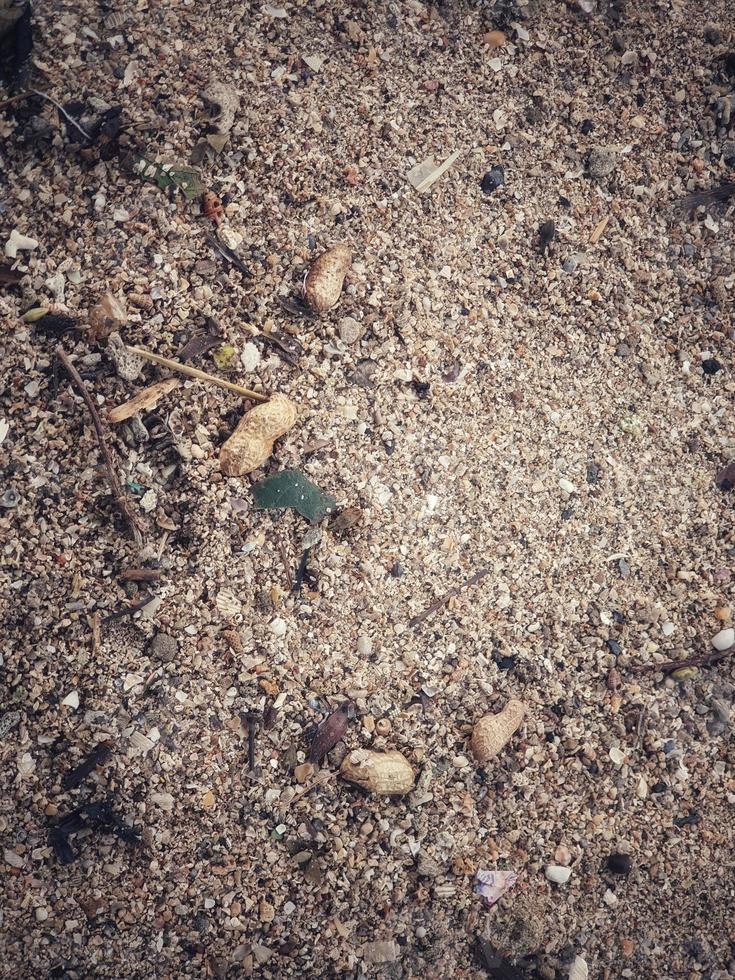 meerdere pinda schelpen verspreide Aan de strand zand. t foto