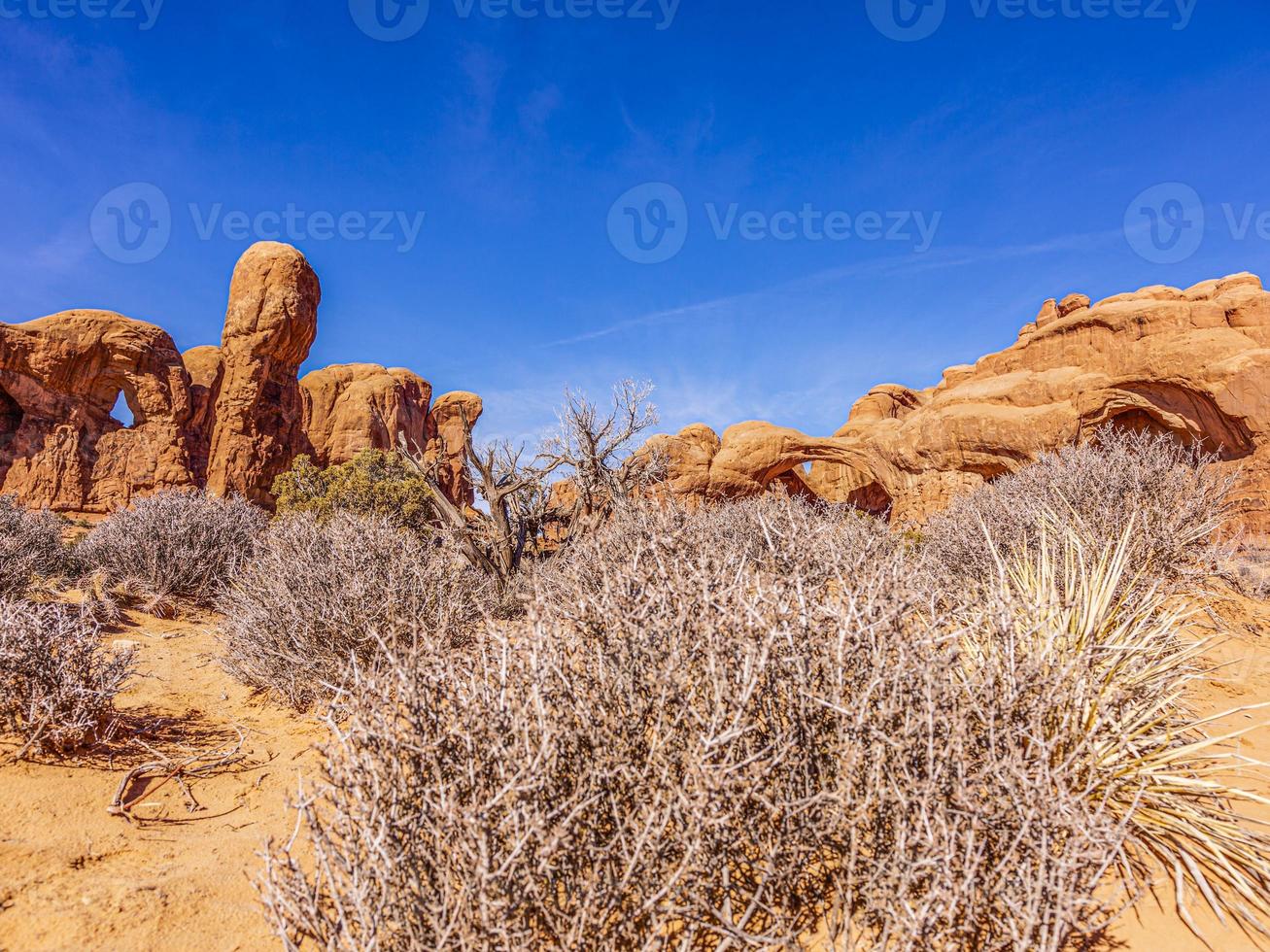 panoramisch afbeelding van natuurlijk en geologisch vraagt zich af van bogen nationaal park in Utah in winter foto