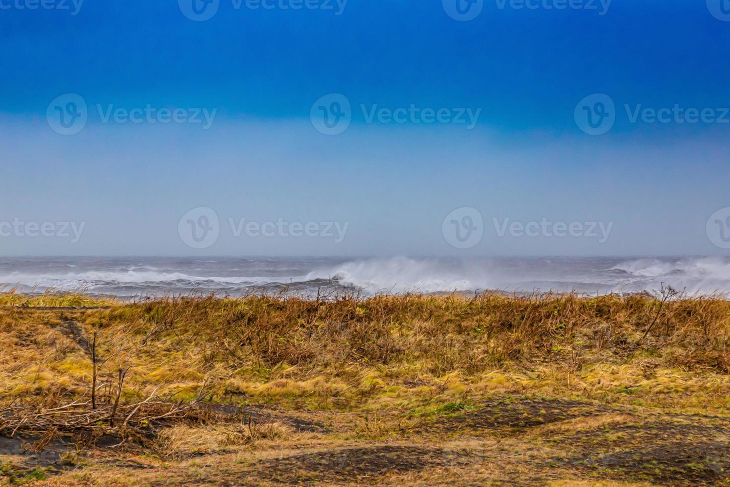 visie Aan vik zwart strand Aan IJsland Bij een stormachtig dag in winter gedurende dag foto