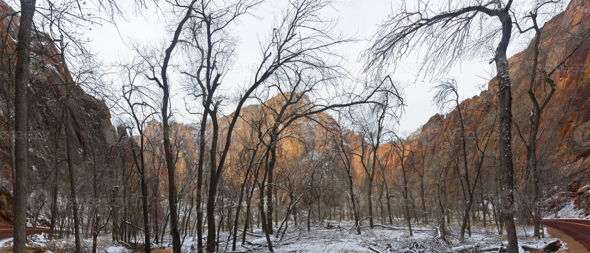 panorama van Zion nationaal park in winter foto