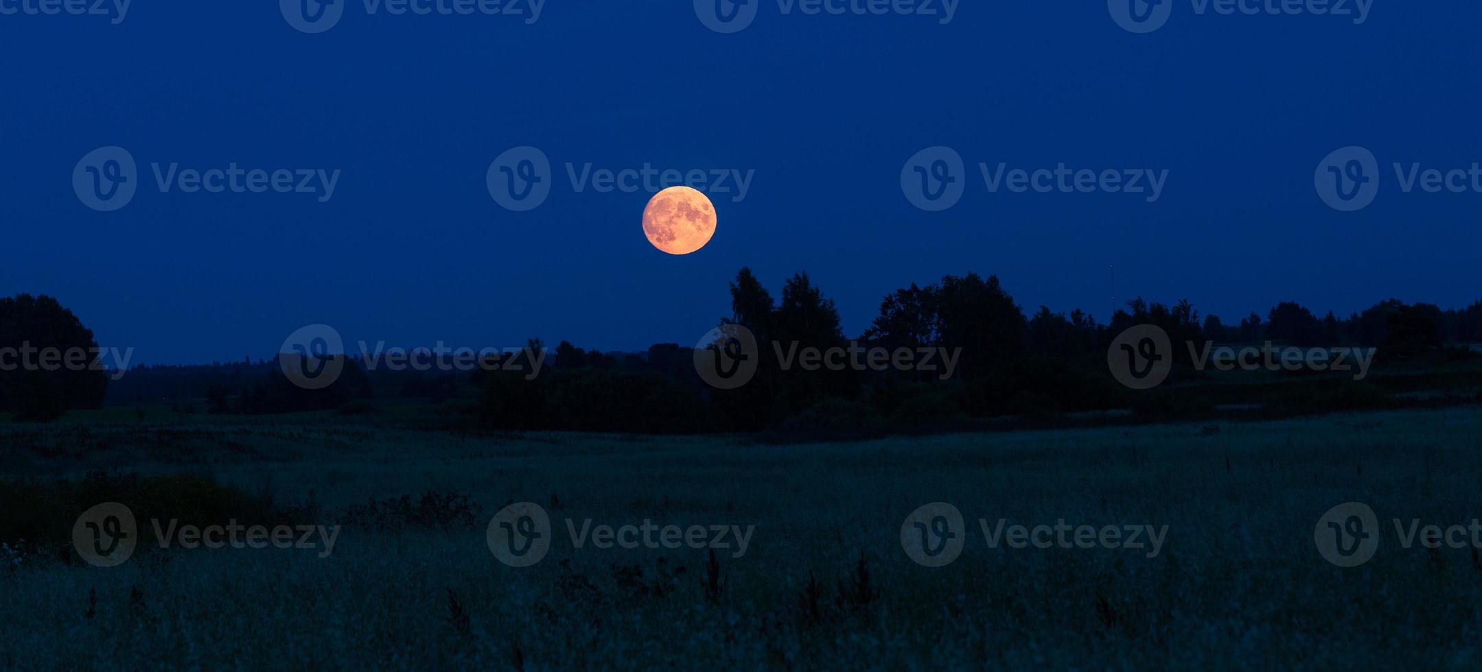 meer landschappen van Letland in zomer foto