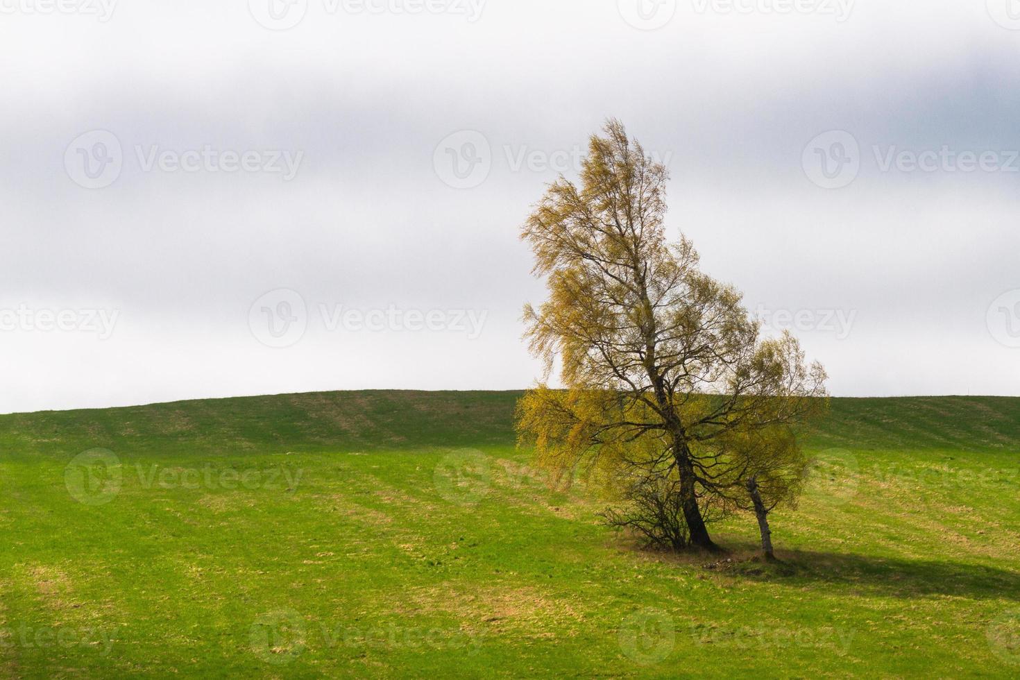 Lets lente landschappen foto