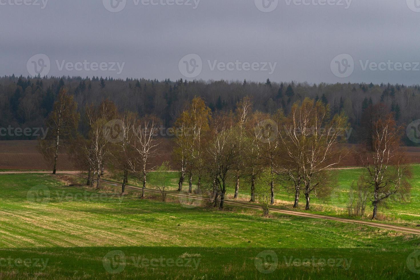 Lets lente landschappen foto