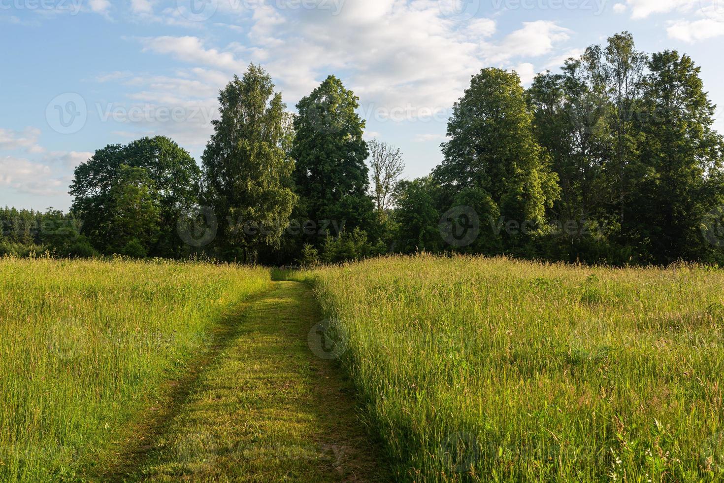 Lets zomer landschappen foto