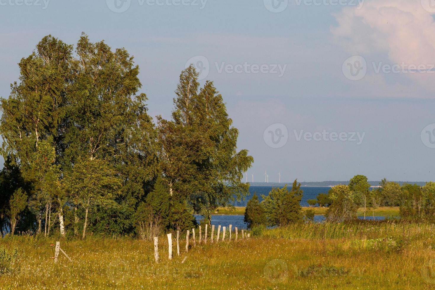 zomer landschappen van mmuhu eiland foto