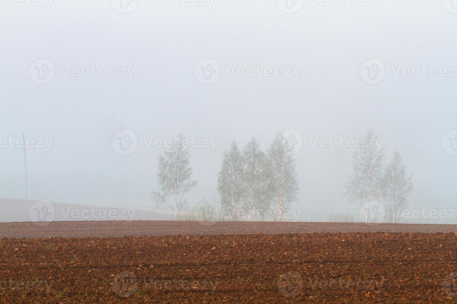 Lets lente landschappen foto