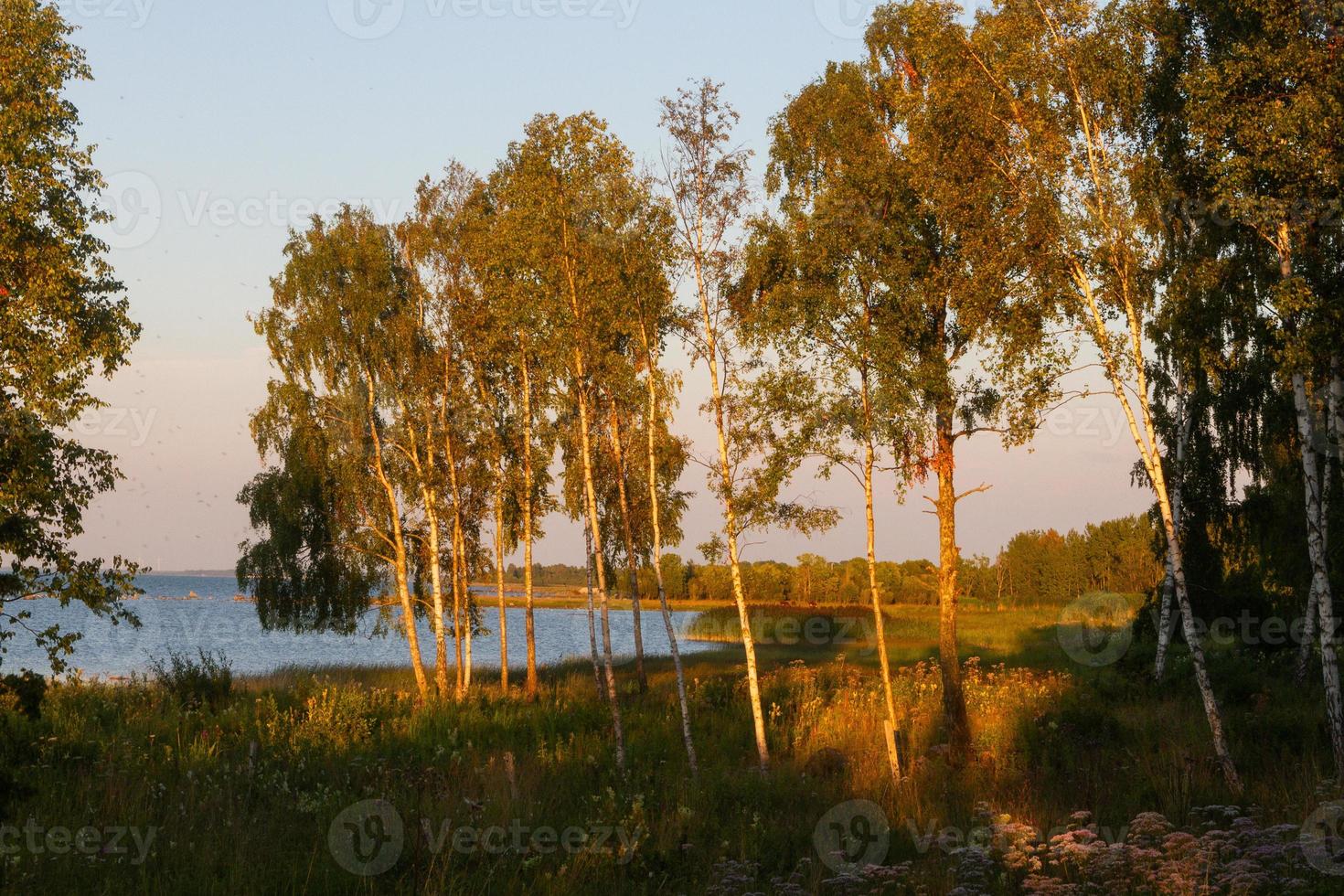 zomer landschappen van mmuhu eiland foto