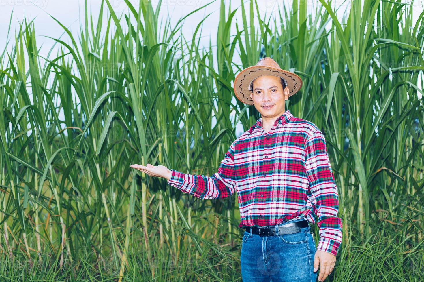 een Aziatische boer in een geruit hemd staat in een veld. foto