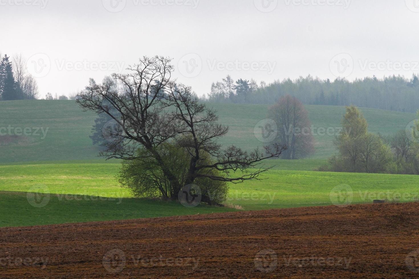 Lets lente landschappen foto