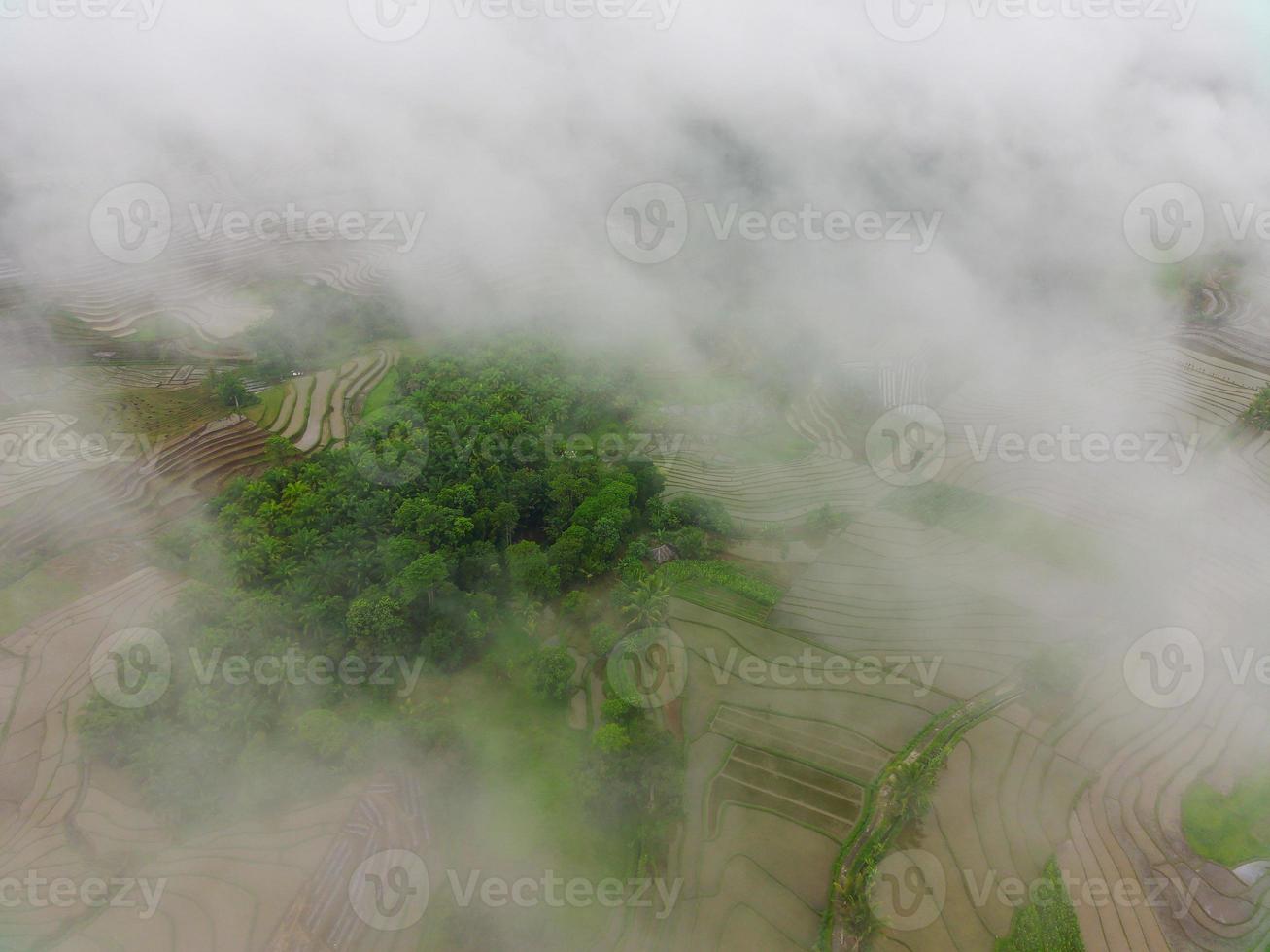 mooi ochtend- visie van Indonesië. antenne foto van groen rijst- velden en bossen gedurende mist