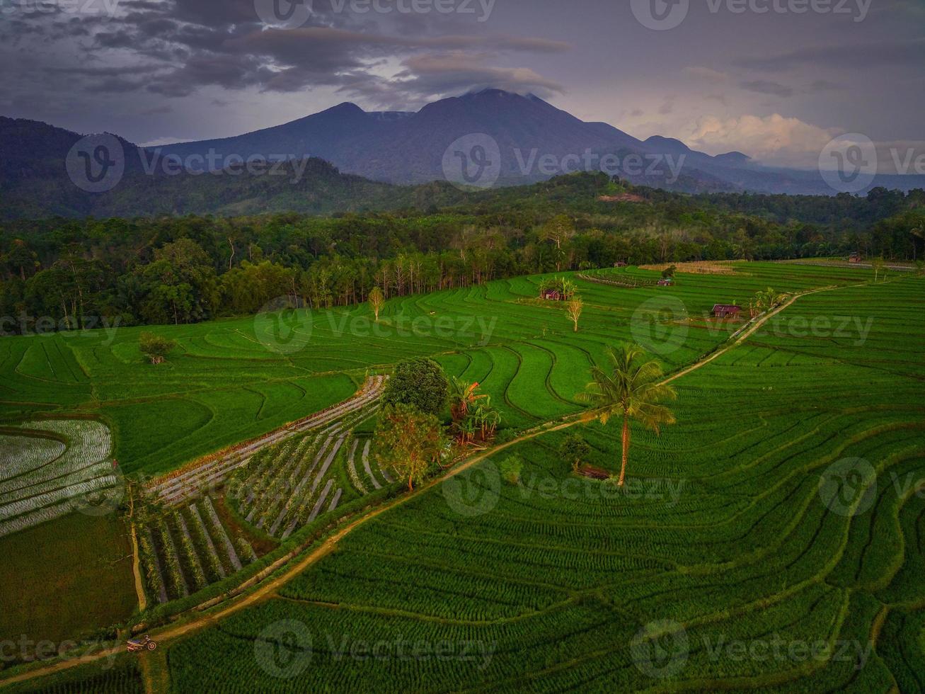 antenne visie van Azië in Indonesisch rijst- veld- Oppervlakte met bergen en groen rijst- foto