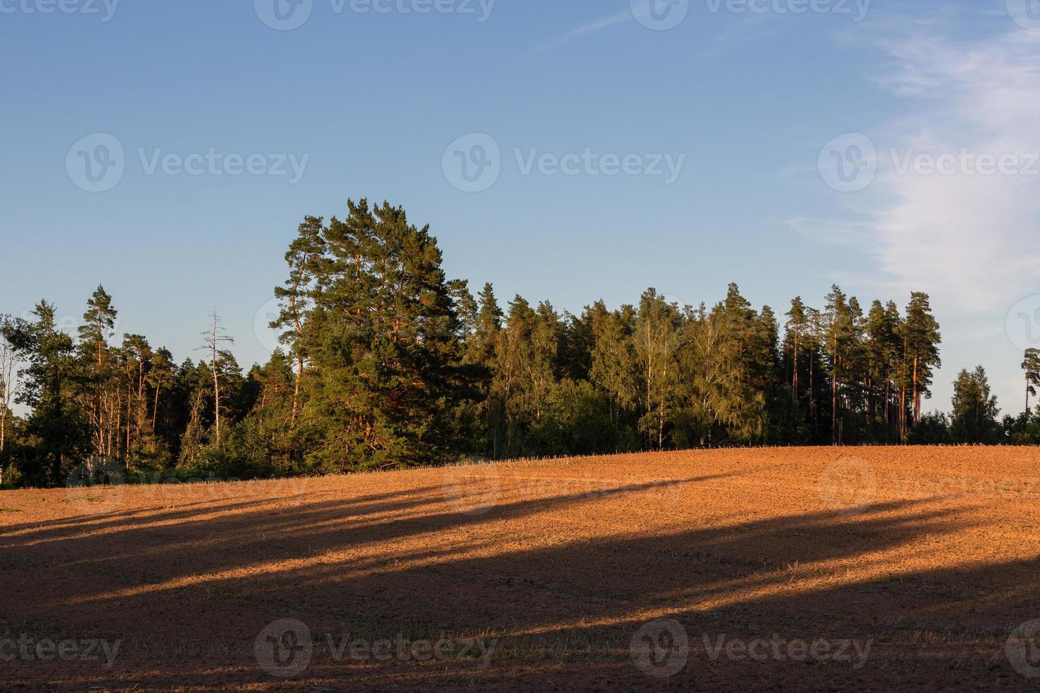 Lets zomer landschappen foto