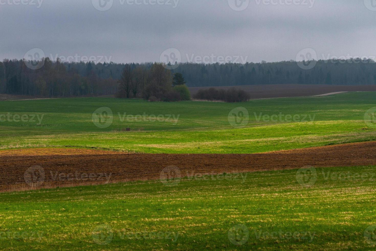 Lets lente landschappen foto