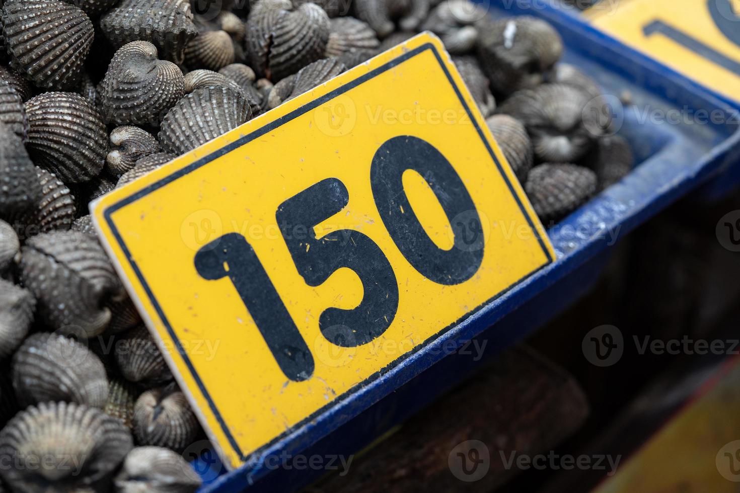 kokkels zeevruchten stapel of schulp vers rauw schaaldieren in vers markt Aan ijs voor verkoop. foto