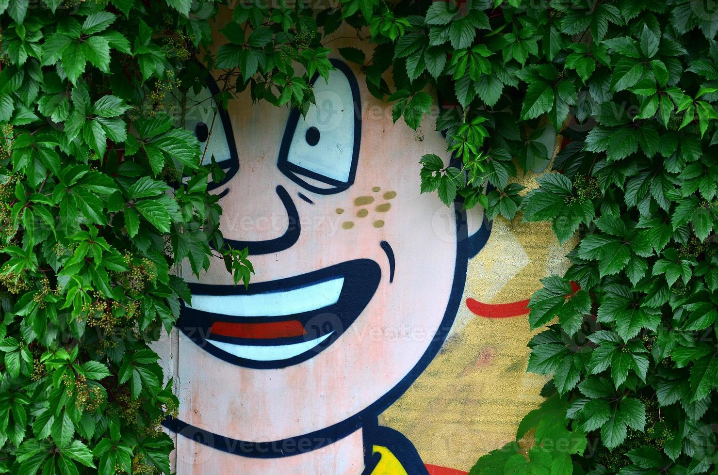een gedetailleerd beeld van een gekleurde graffiti tekening, welke is overwoekerd in de struikgewas van klimop. achtergrond straat kunst afbeelding foto