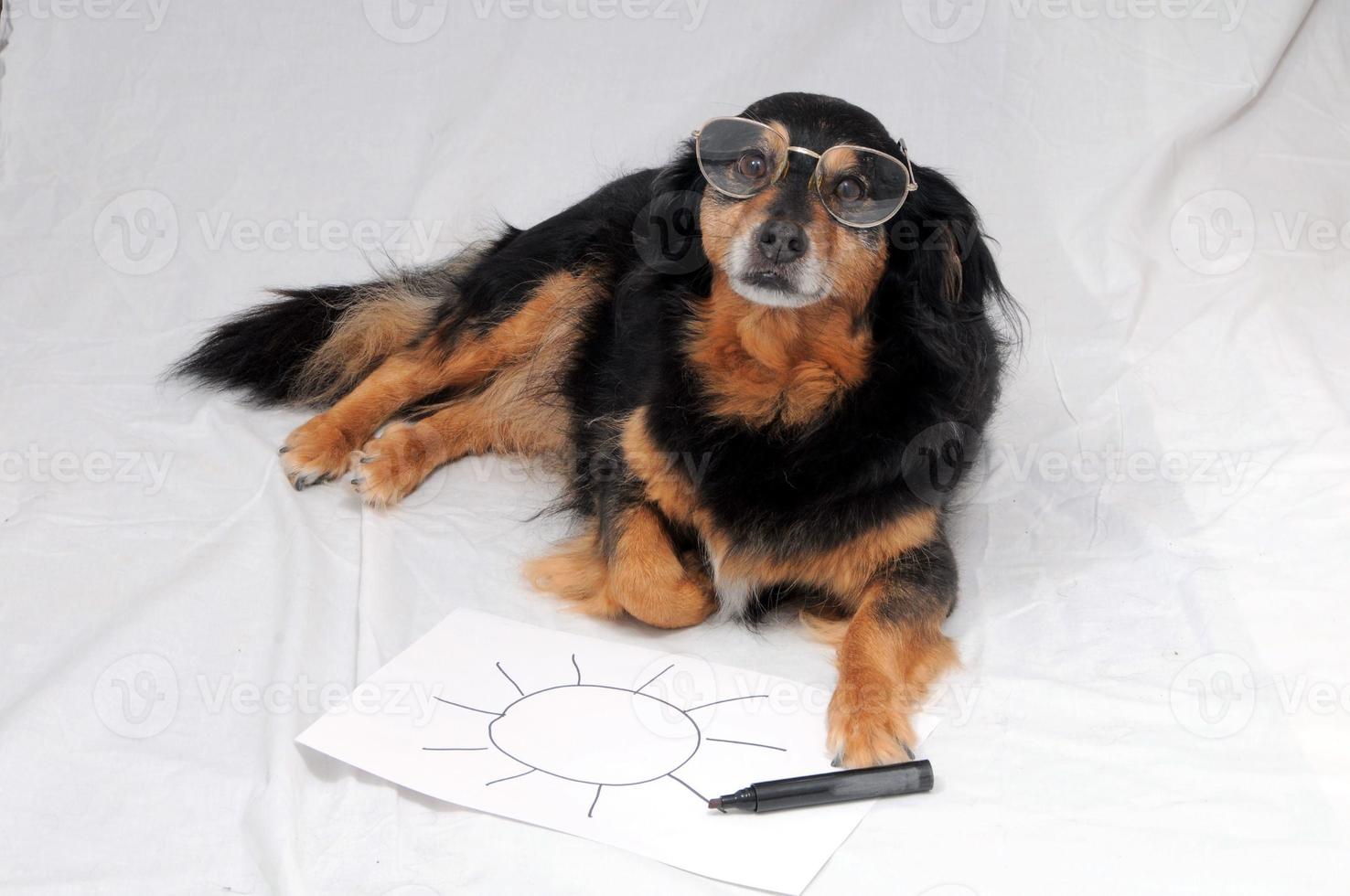 schattig hond met tekening foto