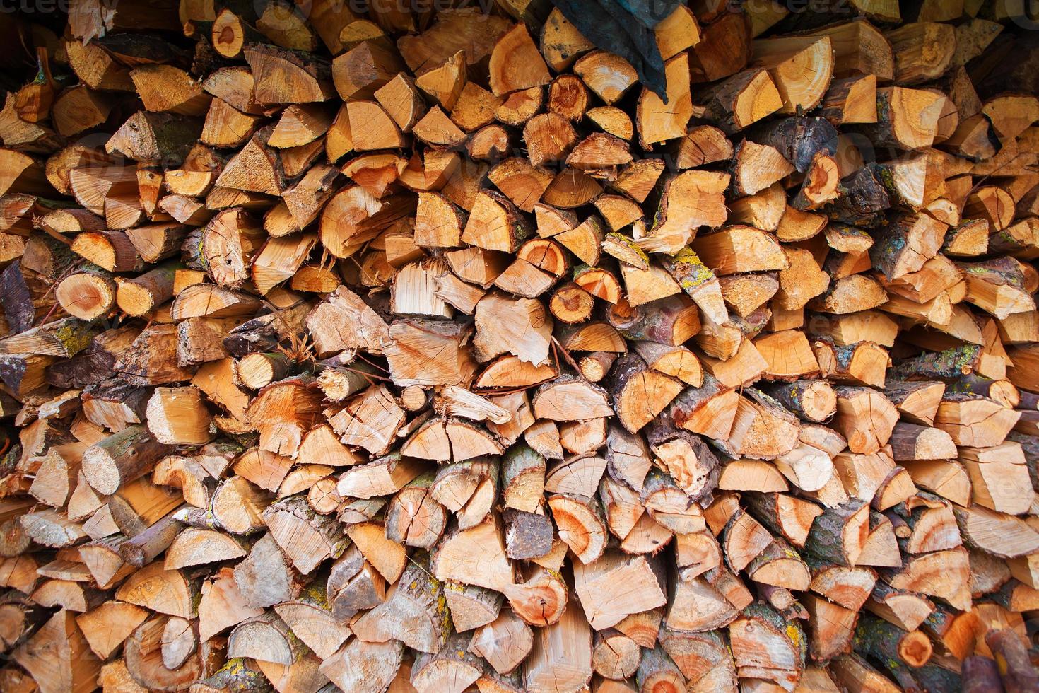 oogsten van brandhout in de Open lucht, platteland foto