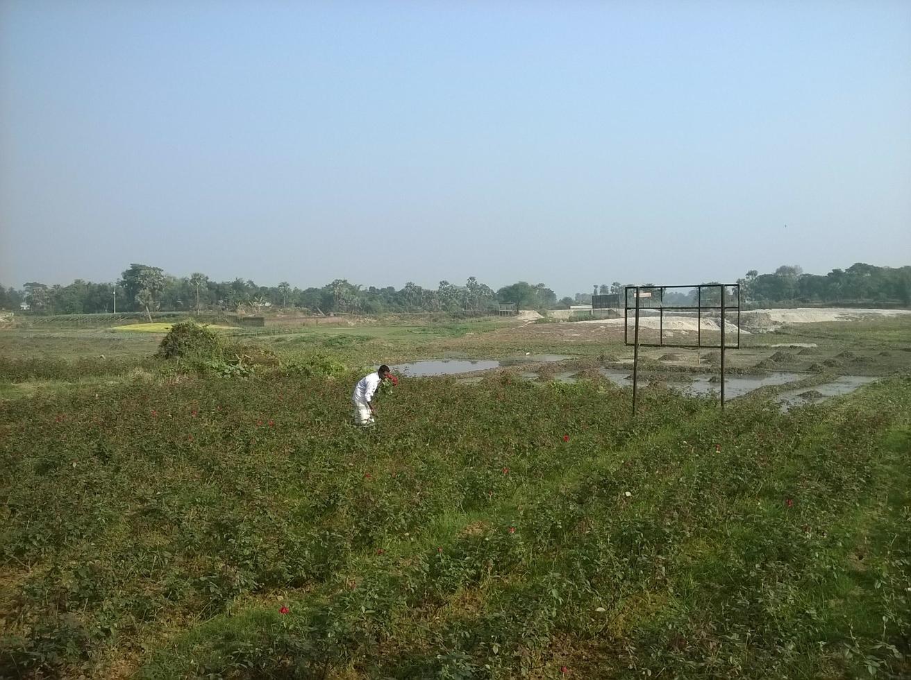 de dorp veld- foto