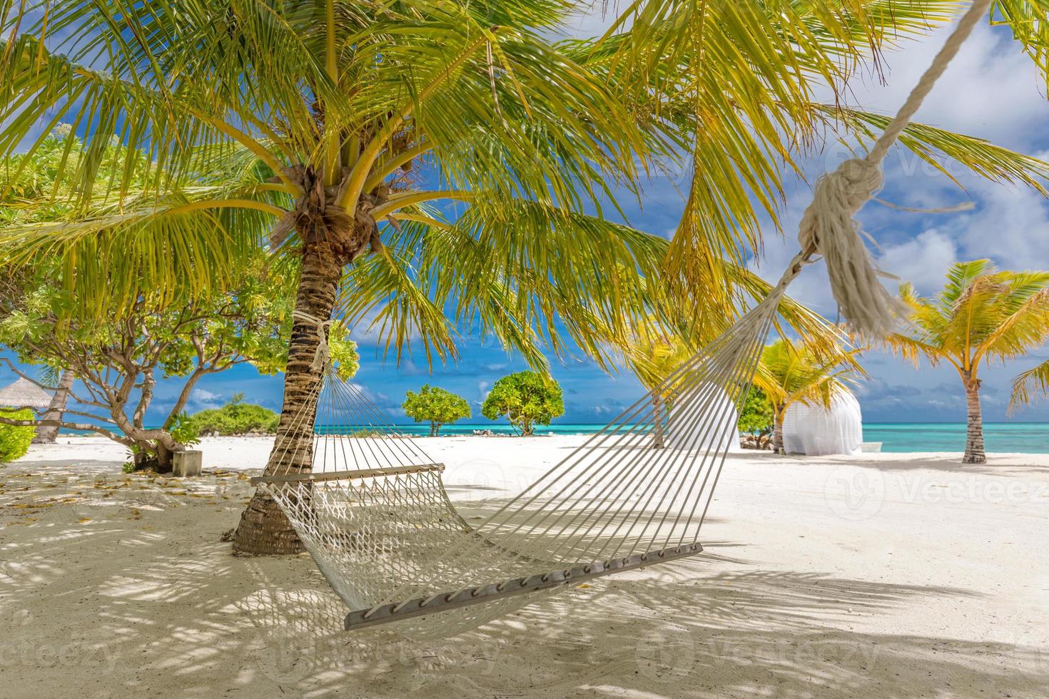 mooi tropisch Maldiven strand onder bewolkt lucht met schommels Aan kokosnoot palm. luxe vakantie concept, romantisch huwelijksreis en ga weg spandoek. kokosnoot boom, blauw lucht, wit zand landschap, zeegezicht foto