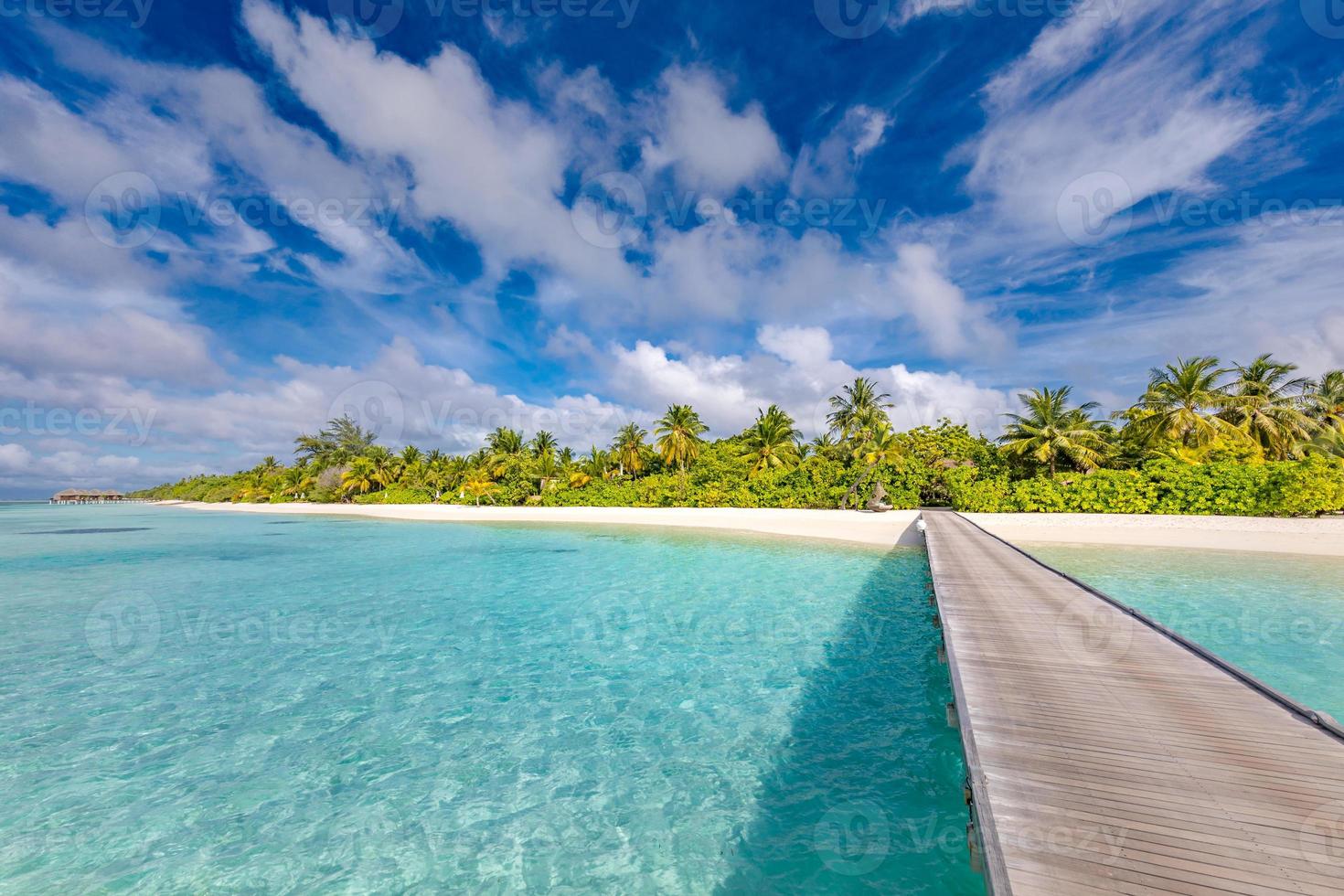 mooi tropisch Maldiven eiland met strand, exotisch zee en kokosnoot palm bomen Aan blauw lucht voor luxe natuur vakantie vakantie achtergrond concept. boost omhoog kleur verwerken. zomer reizen bestemming foto