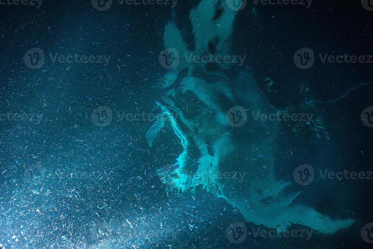 manta aan het eten krill plancton Bij nacht foto