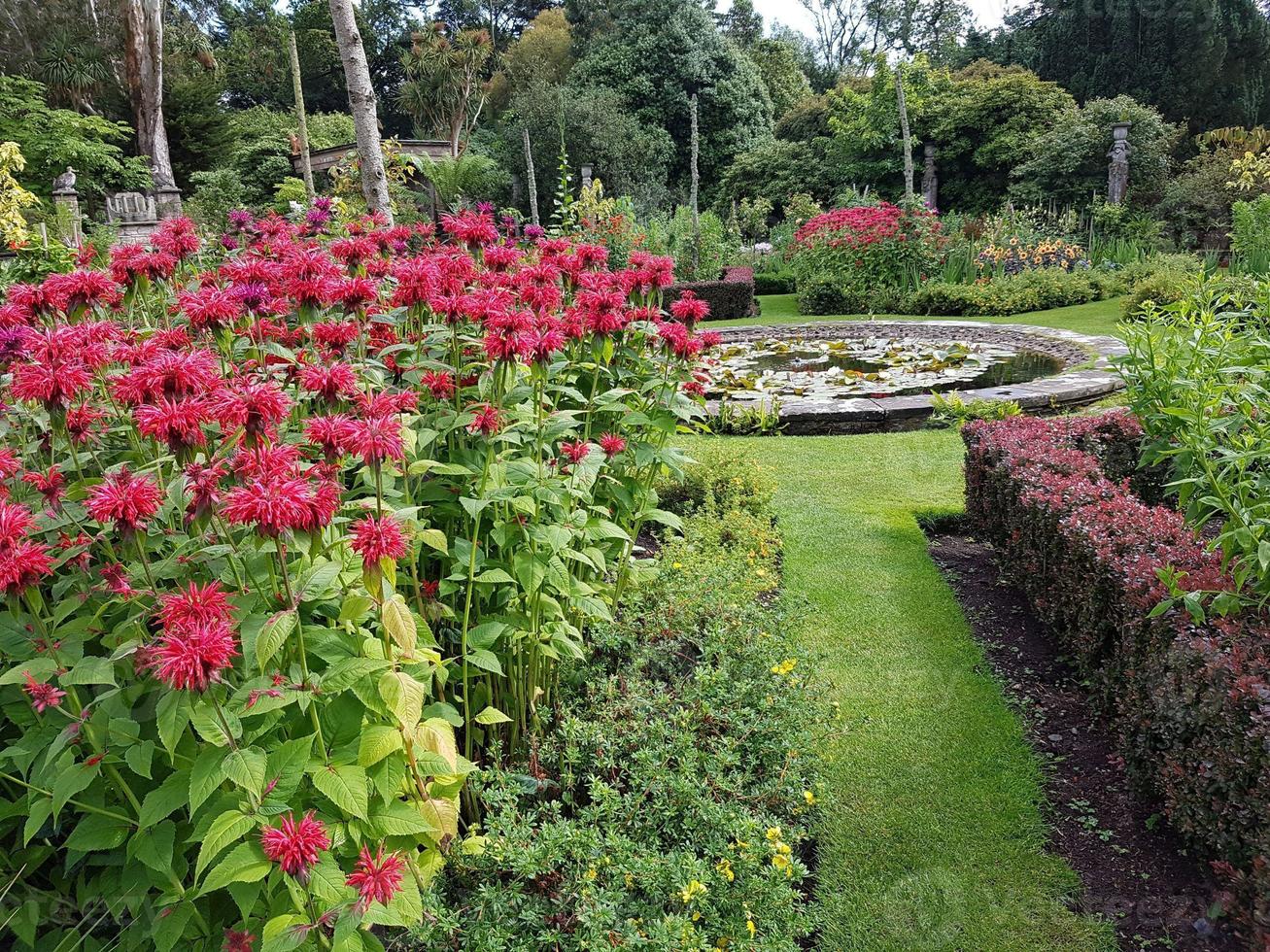 aangelegd tuin. mooi tuin. park foto