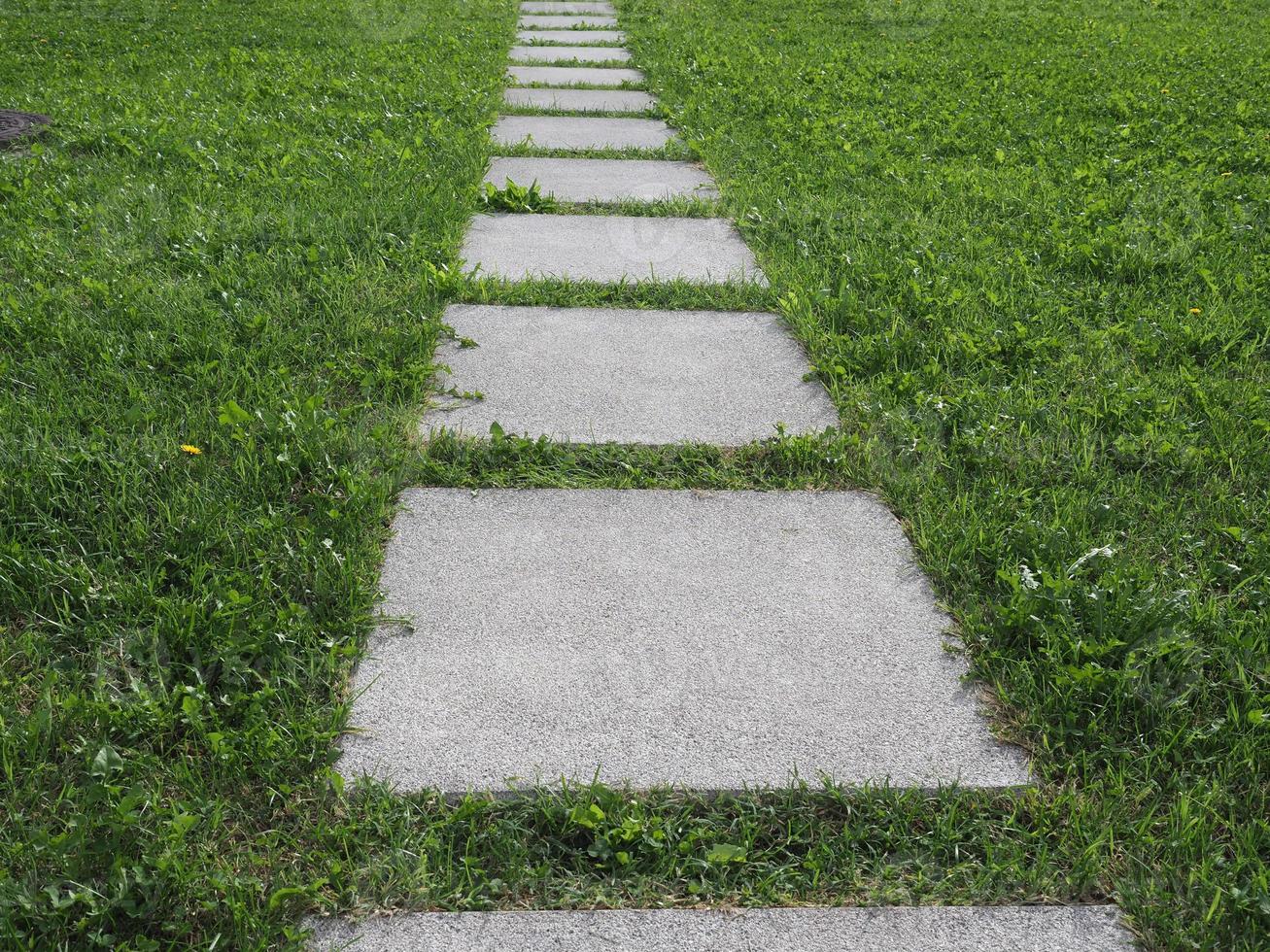 beton tegels in de gras foto