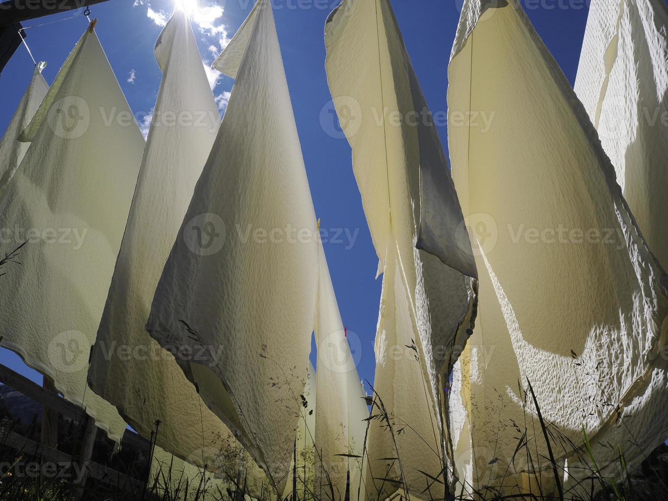 veel wit bed lakens drogen naar de zon foto