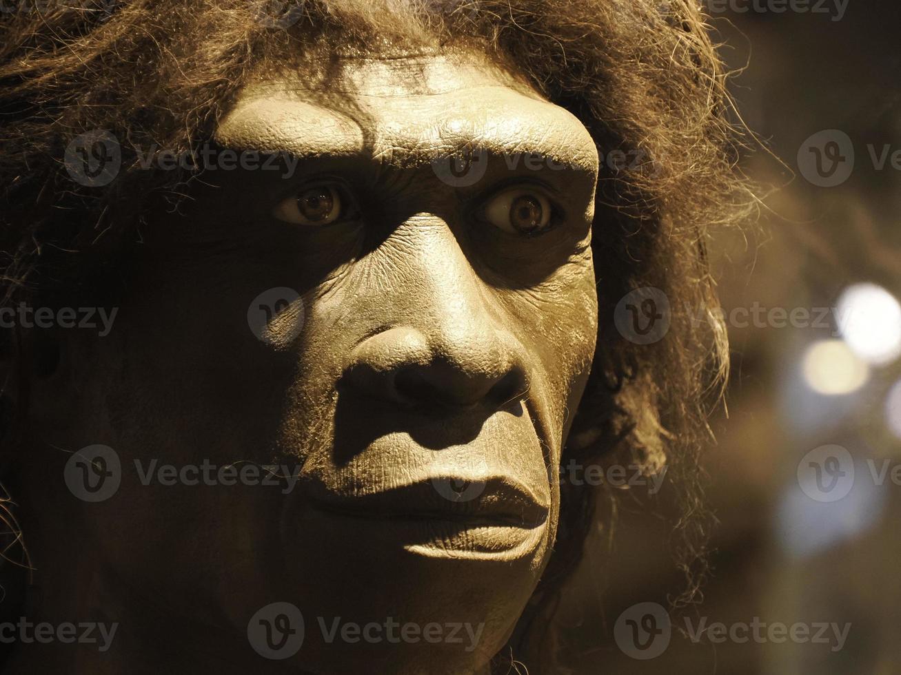 homo erectus menselijk hoofd schedel foto