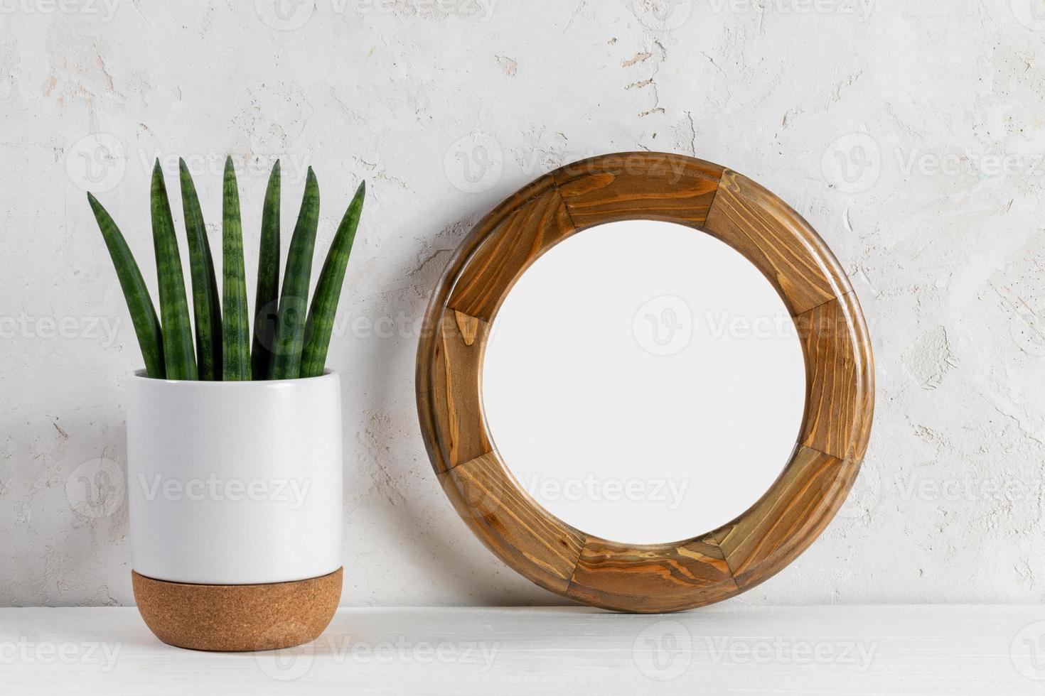 leeg ronde houten kader, groen huis fabriek sansevieria in wit pot. minimaal wit huis decor. foto