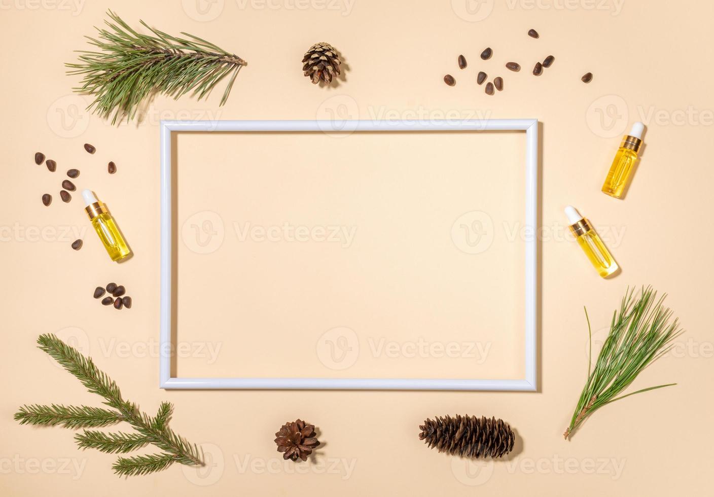 wit kader en klein glas flessen met naald- essentieel oliën van ceder, pijnboom en spar, tak, noten in de omgeving van het. foto