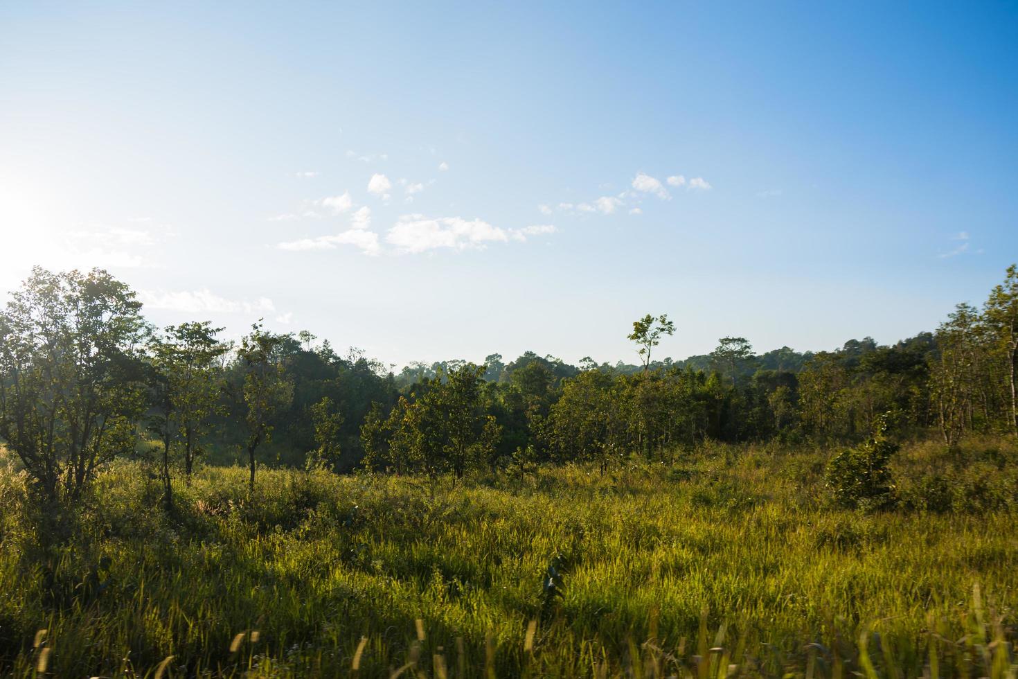 landschap in het Khao Yai National Park foto